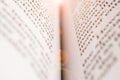 Macro shot of open book. Education and study concept. Close-up of opened book pages. Macro view of book pages. Edges of open paper Royalty Free Stock Photo