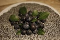 Dark prickly plum fruits on a dark background