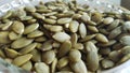 Macro shot of Pumpkin-seeds