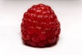 Macro shot of a raspberry fruit Royalty Free Stock Photo