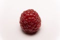 Macro shot of a raspberry fruit Royalty Free Stock Photo