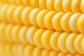 Macro shot of raw yellow corn cob. Royalty Free Stock Photo