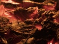 Macro shot of red hot coals in a fireplace