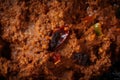 Macro shot of Rendang curry paste, made from a blend of flavorful spices, chili peppers, and coconut milk