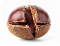 Macro Shot of a Roasted Chestnut with Cracked Shell on a White Background Royalty Free Stock Photo