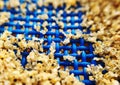 Macro shot of sand on a blue sunbed Royalty Free Stock Photo