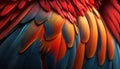 Macro shot of a scarlet macaw (Ara ararauna)