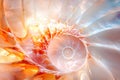 A macro shot of a seashell surface, revealing a swirling natural pattern and intricate texture in sharp detail with earthy tones,