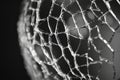 Macro shot of shattered glass texture, intricate web of cracks forming complex geometric patterns. Royalty Free Stock Photo