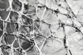 Macro shot of shattered glass texture, intricate web of cracks forming complex geometric patterns. Royalty Free Stock Photo
