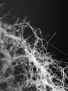 Macro shot showcasing the intricate network of microfibers, highlighting the interlaced strands and their gossamer