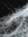 Macro shot showcasing the intricate network of microfibers, highlighting the interlaced strands and their gossamer