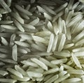 Basmati Rice Grains Macro