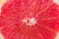 Macro Shot of Slice of Ripe Juicy Red Grapefruit Texture. Vitamins Healthy Diet Summer Detox Vegan Superfoods Concept