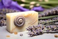 macro shot of snail on a lavender-scented soap bar beside dried lavender flowers Royalty Free Stock Photo