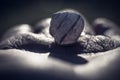 Macro shot of a snail in a person\'s hand on a blurred background Royalty Free Stock Photo