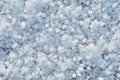 Macro shot of snow texure Royalty Free Stock Photo