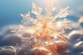 A macro shot of a snowflake or other natural crystal formation, highlighting the delicate beauty o