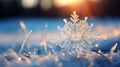 A macro shot of a snowflake or other winter wonderland scene, showcasing its intricate details.