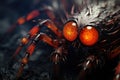 Macro shot of a spider with orange eyes on a black background, spider detail, macro lens, high details, photorealistic, cinematic Royalty Free Stock Photo