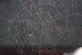 Macro shot of a spider web covered in dewdrops, showcasing its intricate web structure