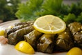 Macro Shot of Stuffed Grape Leaves with a Lemon Wedge on the Side