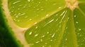 A macro shot of a succulent lime immersed in a bubbly liquid