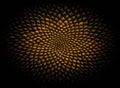 Macro Shot of Sunflower Seeds Pattern in Spiral Fibonacci Sequence on Black Background Royalty Free Stock Photo