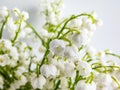 Macro shot of sweetly scented, pendent, bell-shaped white flowers of Lily of the valley Convallaria majalis in a bouquet Royalty Free Stock Photo