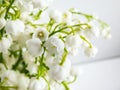 Macro shot of sweetly scented, pendent, bell-shaped white flowers of Lily of the valley Convallaria majalis in a bouquet Royalty Free Stock Photo