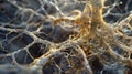 A macro shot of a symbiotic relationship between a plant root and beneficial mycorrhizal fungi both intricately woven