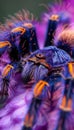 Macro shot of a tarantula in natural habitat, highlighting intricate spider details