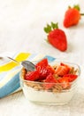 Strawberry pieces with cereals and yogurt Royalty Free Stock Photo