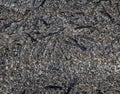 Macro Shot of a Tin-Lead Alloy Surface with Slight Blur. Can Be Used as A Background in Design