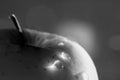 Macro shot of top of apple with water drops in black and white color on grey bokeh background looking like space object. Selective Royalty Free Stock Photo