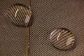 Macro shot of two drops of water on the underside of a brown feather Royalty Free Stock Photo