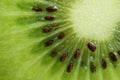 Macro Shot of Vibrant Green Fresh and Juicy of Cut Ripe Kiwi Fruit Royalty Free Stock Photo