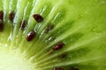 Macro Shot of Vibrant Green Fresh and Juicy Ripe Kiwi Fruit`s Meat and Seed, for Background Royalty Free Stock Photo