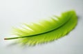 Macro shot of vibrant green parrot feather against white backdrop. Delicate barbules create soft, textured pattern, suggesting Royalty Free Stock Photo
