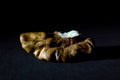 Macro Shot of a Walnut on Black Background Royalty Free Stock Photo