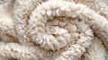 Macro shot of white curly wool texture.