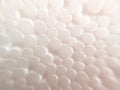 Macro shot of white foam wrap close up view Royalty Free Stock Photo