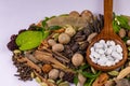 Macro shot of white Herbal tablets in a wooden spoon with scattered herbs and spices in the background. Unani Medicine concept