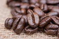 Macro shot of whole bean organic smooth medium dark roast coffee from Sumatra on burlap