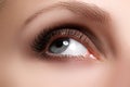 Macro shot of woman beautiful eye with extremely long eyelashes