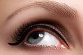 Macro shot of woman`s beautiful eye with extremely long eyelashes Royalty Free Stock Photo