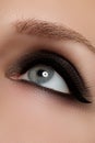 Macro shot of woman`s beautiful eye with extremely long eyelashes Royalty Free Stock Photo