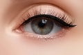 Macro shot of woman's beautiful eye with extremely long eyelashes. view, sensual look. Female eye with long eyelashes. Royalty Free Stock Photo