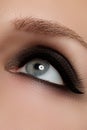 Macro shot of woman's beautiful eye with extremely long eyelashes. view, sensual look. Female eye with long eyelashes Royalty Free Stock Photo