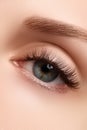 Macro shot of woman's beautiful eye with extremely long eyelashes. view, sensual look. Female eye with long eyelashes